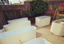 Why Do We Need To Provide Proper Drainage To The Plants In The Raised Garden Bed?