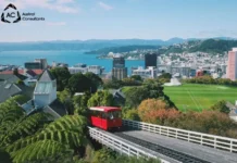 Colocación en universidades internacionales en México con asesoría personalizada y apoyo completo