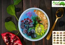 Ayurveda Sydney: Authentic Holistic Healing and Wellness Programs for Optimal Health