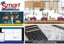 Sap Ewm Course Online | Thesmarthands.com
