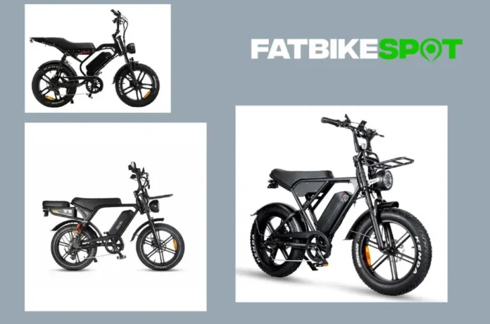 fatbikespot-nl-2-1775841463121-37c4bdcd