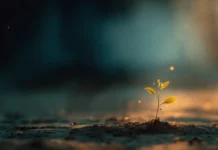 Space Therapy – Prywatna Terapia i Kompleksowa Opieka Blisko Poznania