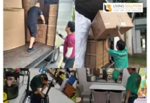 Top Pet Friendly Sofas for a Stylish and Durable Home Comfort