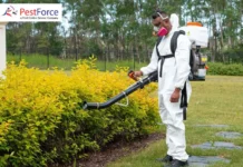Top Pest Exterminator Calgary Services for Fast and Effective Infestation Control
