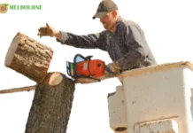 Professional Stump Removal Melbourne Services for Safe and Efficient Tree Care