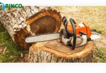 Professional Tree Pruning Melbourne Services for Healthy Growth and Enhanced Landscape