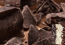 Top Food Grade Chocolate Ingredients for Professional Chocolatiers and Bakeries