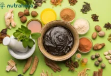 Top Female Immune Support Supplements for Enhanced Health and Wellness