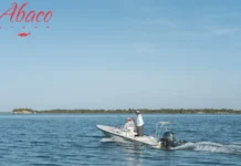 Best Bonefish Lodges in Bahamas for Ultimate Fishing and Luxury Stays