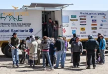 Best Dove Hunting in Argentina: Top Guided Trips and Luxury Experiences