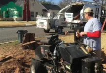 Professional Tree Pruning Services for Healthy Growth and Long-Lasting Tree Care