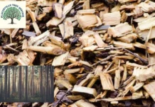 Expert Tree Removal Placerville Services for Safe and Efficient Property Care