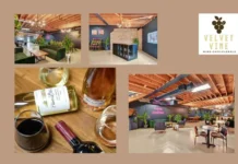 Velvet Vine Wine | Velvetvinewine.com