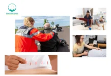 Expert Physiotherapy Royal Oak Calgary for Injury Recovery and Pain Management