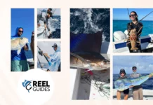 Top Florida Fishing Charters for Unforgettable Angling Adventures in 2024