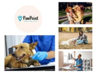 Compassionate Mobile Pet Euthanasia Services for Stress-Free Pet Care at Home