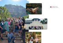 Sri Lanka Round Tour With Driver – Tailored Itineraries and Comfortable Travel Packages