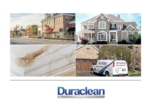 Professional Air Duct Cleaning Lovespark for Cleaner, Healthier Indoor Air