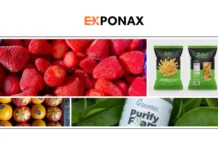 Top Skincare Private Label Manufacturer for Custom Beauty Products and Low MOQ Solutions