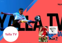 Yalla TV Live – Stream Football Matches Anytime with Fast, Reliable Sports Streaming