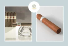 Discover the Best Partagas Cuban Cigar for Authentic Luxury and Rich Flavor
