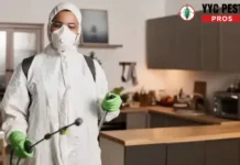 Effective Mice Proofing Techniques to Secure Your Home and Prevent Infestations