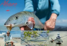 Ultimate Guide to Bonefishing in Bahamas for Exceptional Angling Adventures