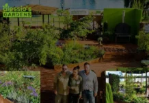 Expert Garden Renovations Perth for Stunning and Unique Outdoor Spaces