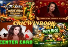 Cricwin: Trusted Live Cricket Betting Platform with Fast Access and Secure Gameplay