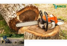 Expert Stump Grinding Services for Complete Removal and Smooth Ground Restoration
