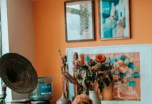 Ultimate Guide to Yo Pet: Features, Benefits, and User Tips