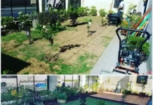 Expert South Perth Landscaping Services for Stunning Outdoor Transformations