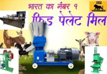 Compact and Reliable Small Papad Making Machine for Home Use