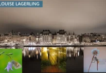 Effektiv psykoterapi på Östermalm – Professionell hjälp för ångest, stress och depression