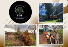Professional Tree Removal Maidstone Services for Safe and Efficient Outdoor Management