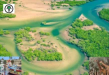 Comment réserver une activité au Sénégal pour une expérience authentique et inoubliable