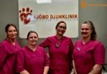 Vaccinera Hund i Simrishamn – Professionell Hundvaccination för Din Fyrbenta Vän