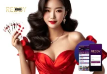 Reddy Book Win – Ultimate Platform for Betting Games and Big Rewards