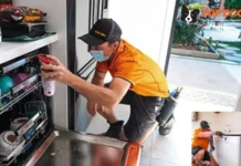 Gold Coast Pest Control Services for Safe and Effective Pest Management