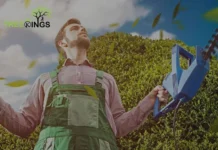 Expert Tree Removal Service Greenvale for Safe and Efficient Tree Care
