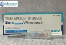 IVF Success Rate India: Comprehensive Insights and Trusted Fertility Solutions