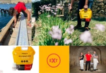 Effective Rodent Removal Malta – Reliable Solutions for a Rodent-Free Home