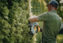 Top Benefits of Professional Bin Cleaning Services in Regina for a Healthier Home