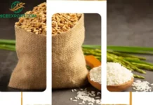Rice CIF Lagos Port Price Guide for Premium Indian Rice Imports