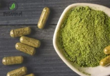 Buy Pure and Potent Kratom Extracts Online for Enhanced Wellness