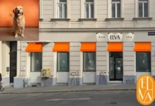 Hunde Spa Behandlung Wien – Professionelle Pflege und Entspannung für Ihren Hund