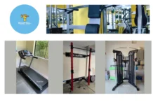 Professional Play Ground Assembly Services for Safe and Fun Outdoor Spaces