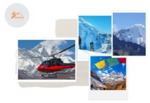 Ultimate Guide to Langtang Valley Trek for Stunning Nature and Mountain Views