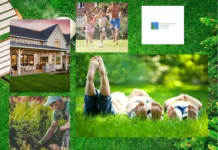 Best Time to Fertilize Your Lawn for Optimal Growth and Health