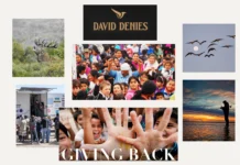 Best Dove Shooting in Argentina for Unmatched Hunting Adventures